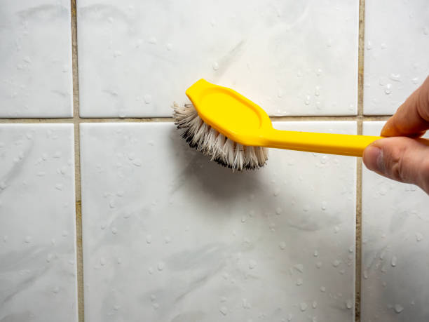 Best Black Mold Removal  in Bayou Blue, LA