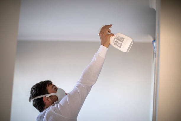 Best Attic Mold Removal  in Bayou Blue, LA
