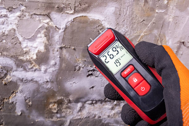 Trusted Bayou Blue, LA Mold Removal Experts